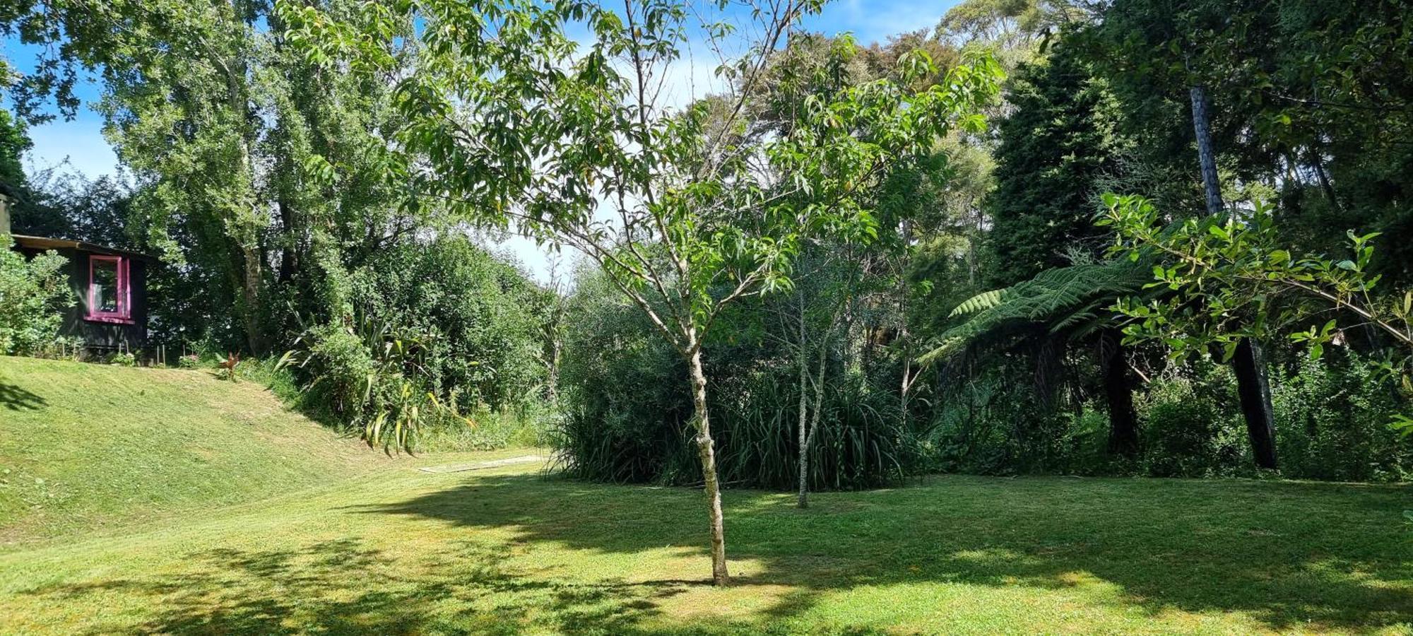 Pheasant Lodge Paparoa Kültér fotó